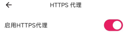 打开 HTTPS 代理